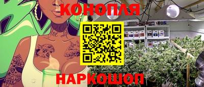 молекула духа Кулебаки
