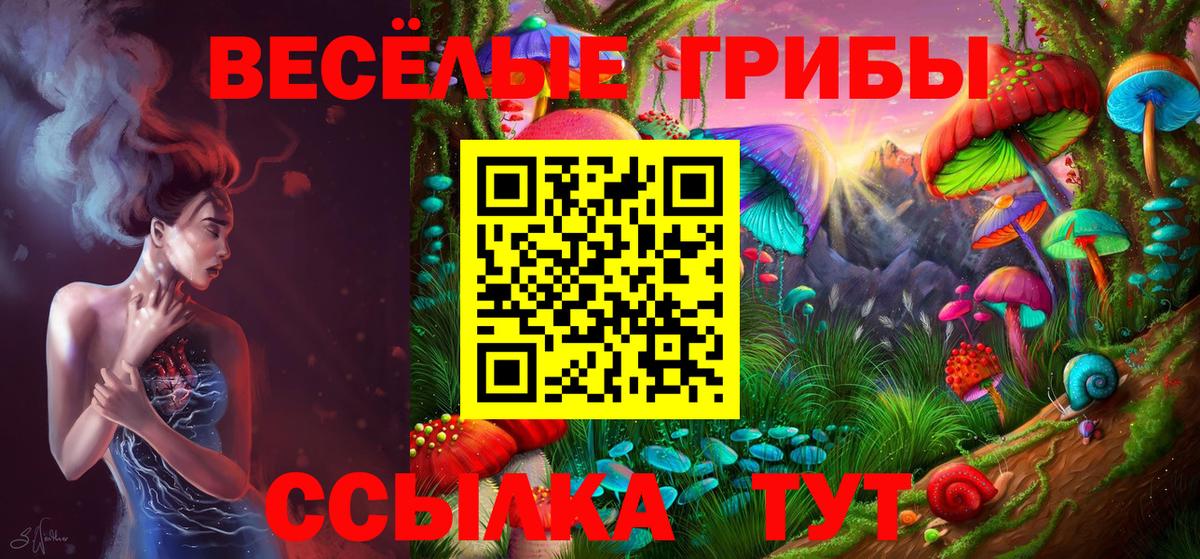 Псилоцибиновые грибы MAGIC MUSHROOMS  Вход с VPN  Троицк 